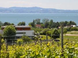 Ferienwohnung Weinbergblick