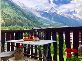 Mont Blanc 43, vue Mont Blanc , balcon, parking，位于夏蒙尼-勃朗峰南针峰附近的酒店