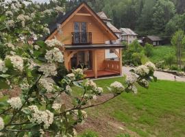 Domek pod Groniem，位于Mizerna的酒店