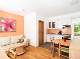 Apartments MEDVED in the historic center，位于科佩尔的酒店
