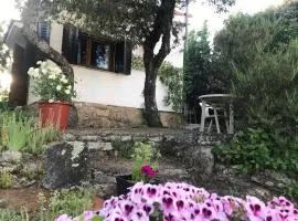 Cabaña rústica