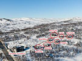 Torsetlia Cottages and Apartments，位于Uvdal的酒店