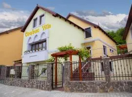 Cosbuc Residence & Villa
