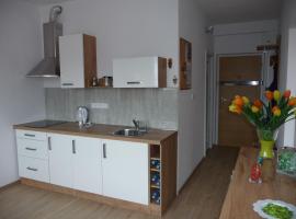 Apartman Q11，位于索科洛夫索科洛夫庄园附近的酒店