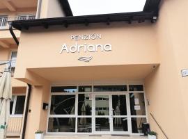 Penzion Adriana，位于瓦赫河畔新梅斯托的酒店