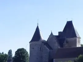 Chateau de Chémery