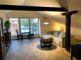 Ringelnatz & Lichtwer- Ferienwohnung Wurzen