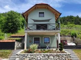 vakantiehuis Zidanica