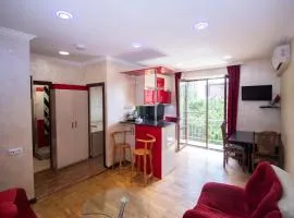 Comfortable apartment