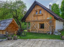 徒步加自行车小木屋，位于博希尼的木屋