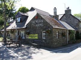 Trewern Arms Hotel，位于纽波特的酒店