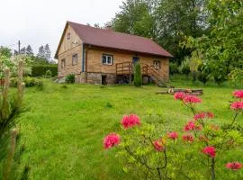 Domek Na Polanie
