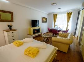 Ultracentral luxury apartment，位于克卢日-纳波卡的酒店
