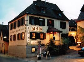Adler Gaststube Hotel Biergarten，位于巴特拉珀瑙的带停车场的酒店