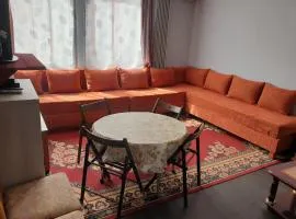 Equipped appartement near Paris CDG & Bourget