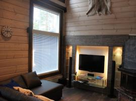 Levi Unelma Villa，位于列维的酒店