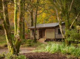 Woodland Cabins, Glencoe，位于巴拉胡利什的宠物友好酒店