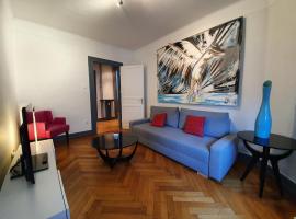 Appartement Strasbourg Cathédrale，位于斯特拉斯堡小法兰西附近的酒店