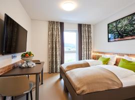 Huemer-Park Motel Vöcklatal，位于Zipf的酒店