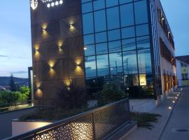 Panorama Business Inn，位于克卢日-纳波卡的酒店