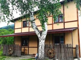 Guest House Pisnya Karpat，位于斯科列的乡村别墅