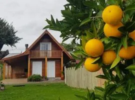 Cabana no Vale dos Vinhedos