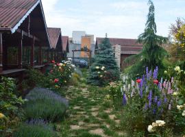 Cabane de lemn，位于科斯蒂内什蒂的度假园