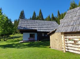 Holiday house Žvan na Pokljuki，位于博希尼的酒店