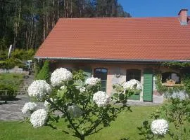 Pustki Rekowskie - Zielone Serce Kaszub