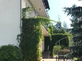 Noclegi Nad Potokiem