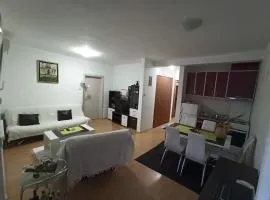 Apartman Savić