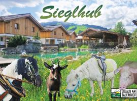 Sieglhub Chalets - Appartements - Hotel，位于弗拉绍的酒店