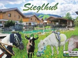 Sieglhub Chalets - Appartements - Hotel