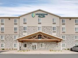 WoodSpring Suites Carol Stream - Chicago，位于罗斯奇姆杜佩奇机场 - DPA附近的酒店