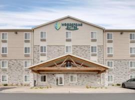 WoodSpring Suites Carol Stream - Chicago，位于罗斯奇姆的酒店