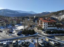 Apartamenty BlueSky - Ogrodnicza 7 i 9 - z widokiem na g&oacute;ry, w zielonej okolicy, blisko centrum i atrakcji Karpacza，位于卡尔帕奇的自助式住宿