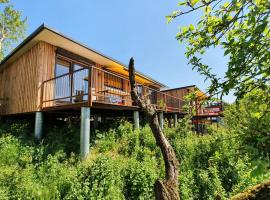 GLÜCK HOMES IPPESHEIM，位于Ippesheim的酒店