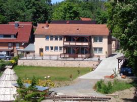 Harz Pension，位于弗雷德里希斯布鲁恩的旅馆