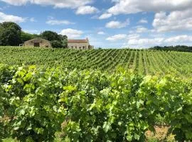 Chateau le Truch