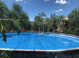 La casetta degli ulivi con piscina