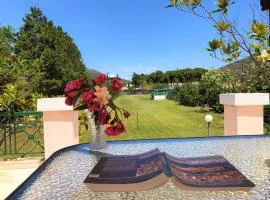 Luxury 6BR Villa, Garden Oasis, near Schinia Beach