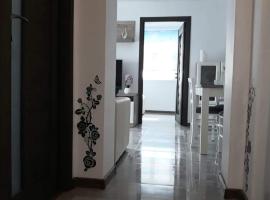 Apartament Octavian，位于苏利纳的酒店