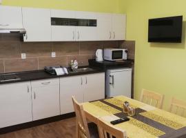 Booking Tržní，位于德辛的豪华型酒店