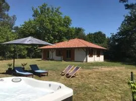 Spa et détente au cœur de la forêt des Landes - 3 étoiles