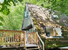 Moderne A-Frame midden in het bos, luxe vakantiehuis Durbuy