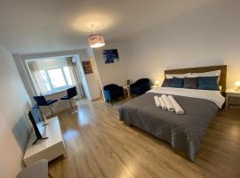 Take PRO Timisoara Apartment，位于蒂米什瓦拉的酒店