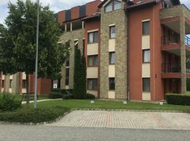 Lili Apartman Birdland Bükfürdő，位于比克的酒店