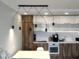 Family & Business Elegant Apartments Rynek Centrum Downtown - 2 Bedroom, Balcony, Parking