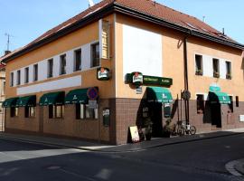 Hotel Classic，位于Nový Bydžov的酒店