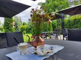 PENSIUNE RESTAURANT POIANA AVRIGULUI loc de joaca pentru copii，位于阿夫里格的酒店